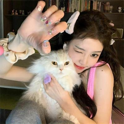 猎狐